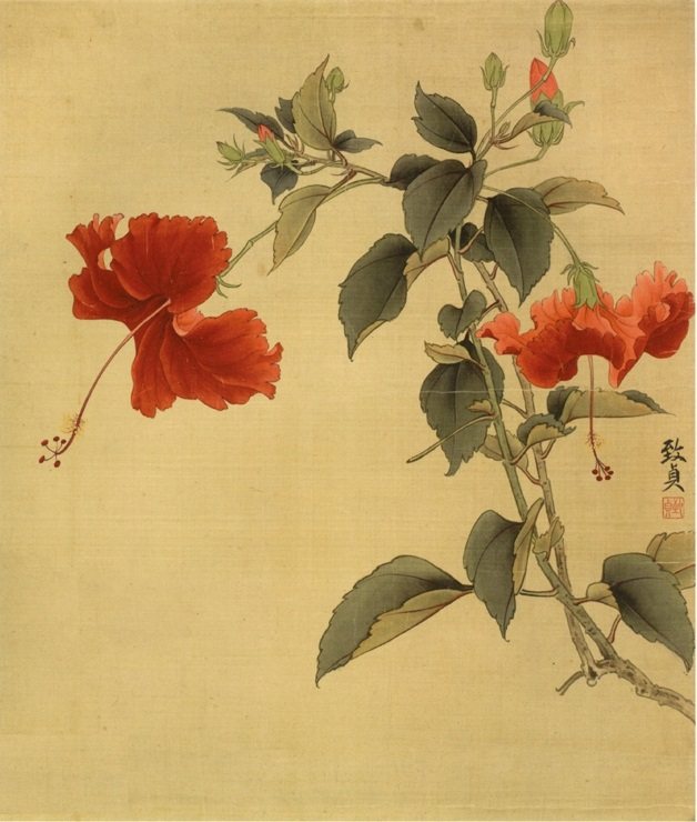 工笔画底稿 俞致贞 扶桑斗方花卉小品白描4#打印稿宣纸稿