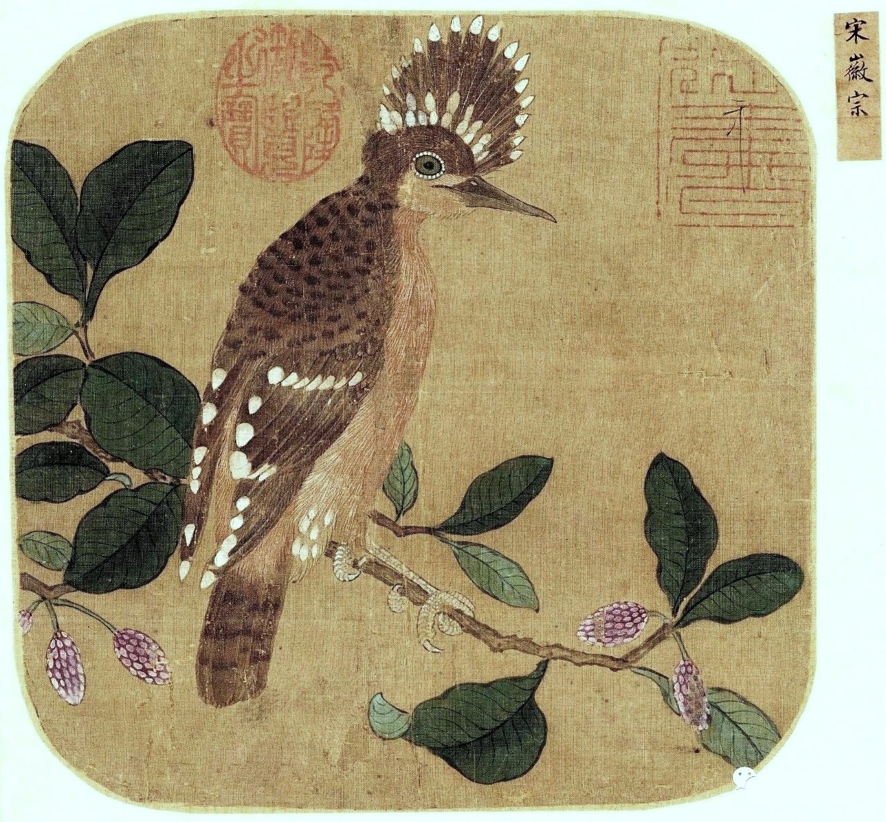 工笔画底稿 宋徽宗 赵佶 戴胜图页花鸟白描90#打印稿宣纸稿