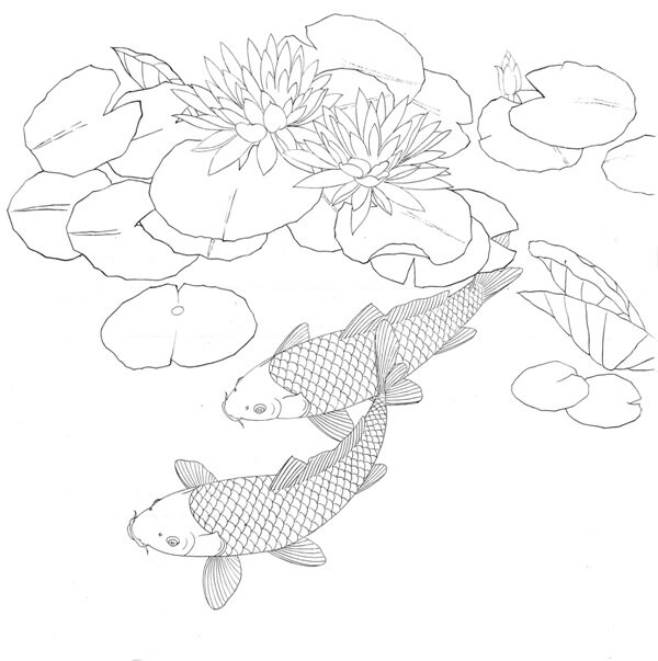 黄河老师工笔画底稿 睡莲鲤鱼图斗方白描1#打印稿宣纸稿学习临摹
