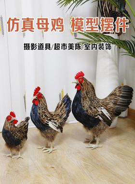 仿真大母鸡模型鸡摆件摄影道具真羽毛工艺品造景假鸡家居招财摆件
