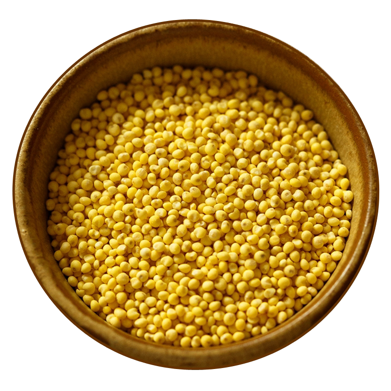 西北小院｜农家大黄米粘米糯黄米黏粽子米（山区种植）500g