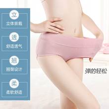 女士10条装女式纯棉内裤短裤安全成人平角100%棉质中腰薄款女款无