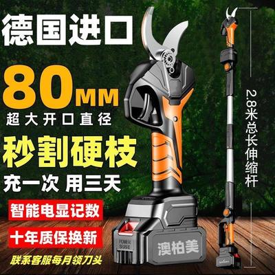 德国进口电动修枝剪无线防水充电果树绿化剪刀园艺大修枝剪园林剪