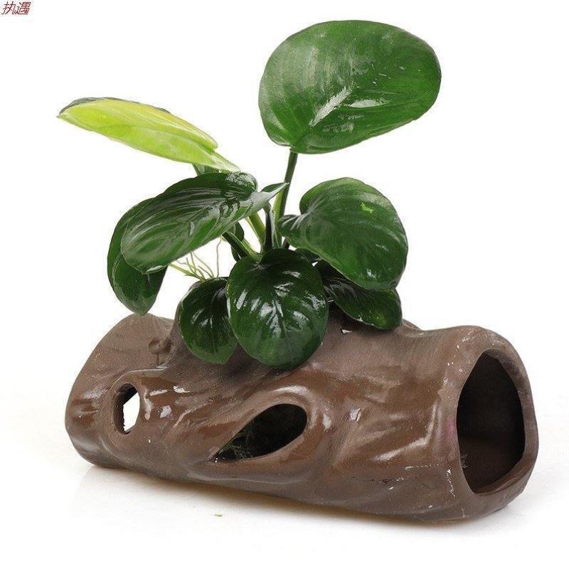 鱼缸造景莫斯水草陶罐躲避洞鱼虾躲避屋慈鲷罐水晶虾窝繁殖罐虾罐