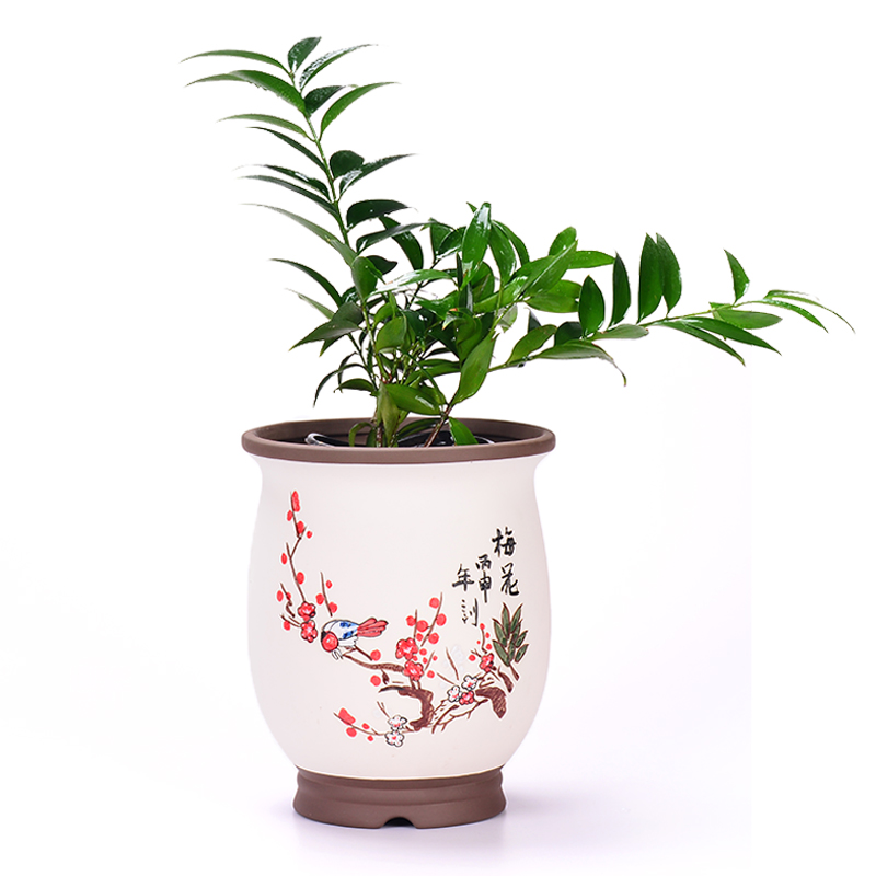 紫砂陶瓷花盆植物种植盆景圆形