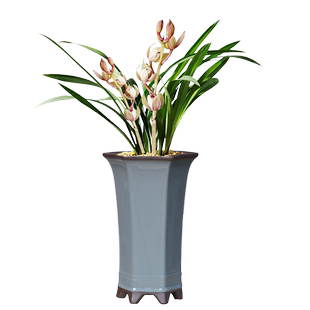 紫砂大口径兰花盆哥窑陶瓷家用古典室内外榕树君子兰专用透气盆栽