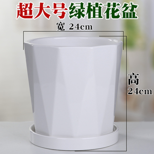 白色花盆l特大号北欧简约创意带托盘家用阳台客厅绿萝落 陶瓷高款