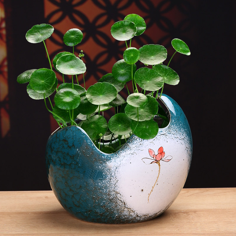 创意陶瓷水培植物花盆简约个性园艺绿植绿萝水仙花碗莲铜钱草盆栽