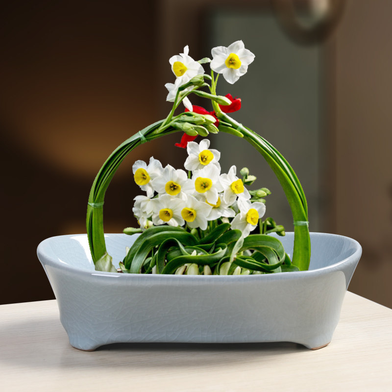 水仙花盆陶瓷大号家用创意无孔铜钱草一叶莲睡莲碗莲多肉水培器皿