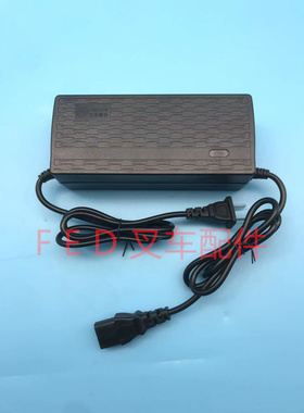 天宇力士充电器工地越野电动叉车托盘搬运车JH-WS48V-32充电机