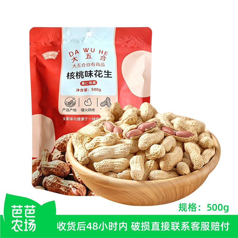 【芭芭农场】浙梅小花生500g带壳零食核桃味小吃香味炒货下酒菜
