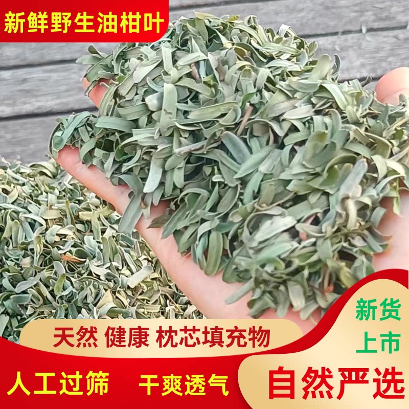 新鲜散装油柑叶清香牛甘叶余甘子叶单人儿童枕头透气颈椎枕芯