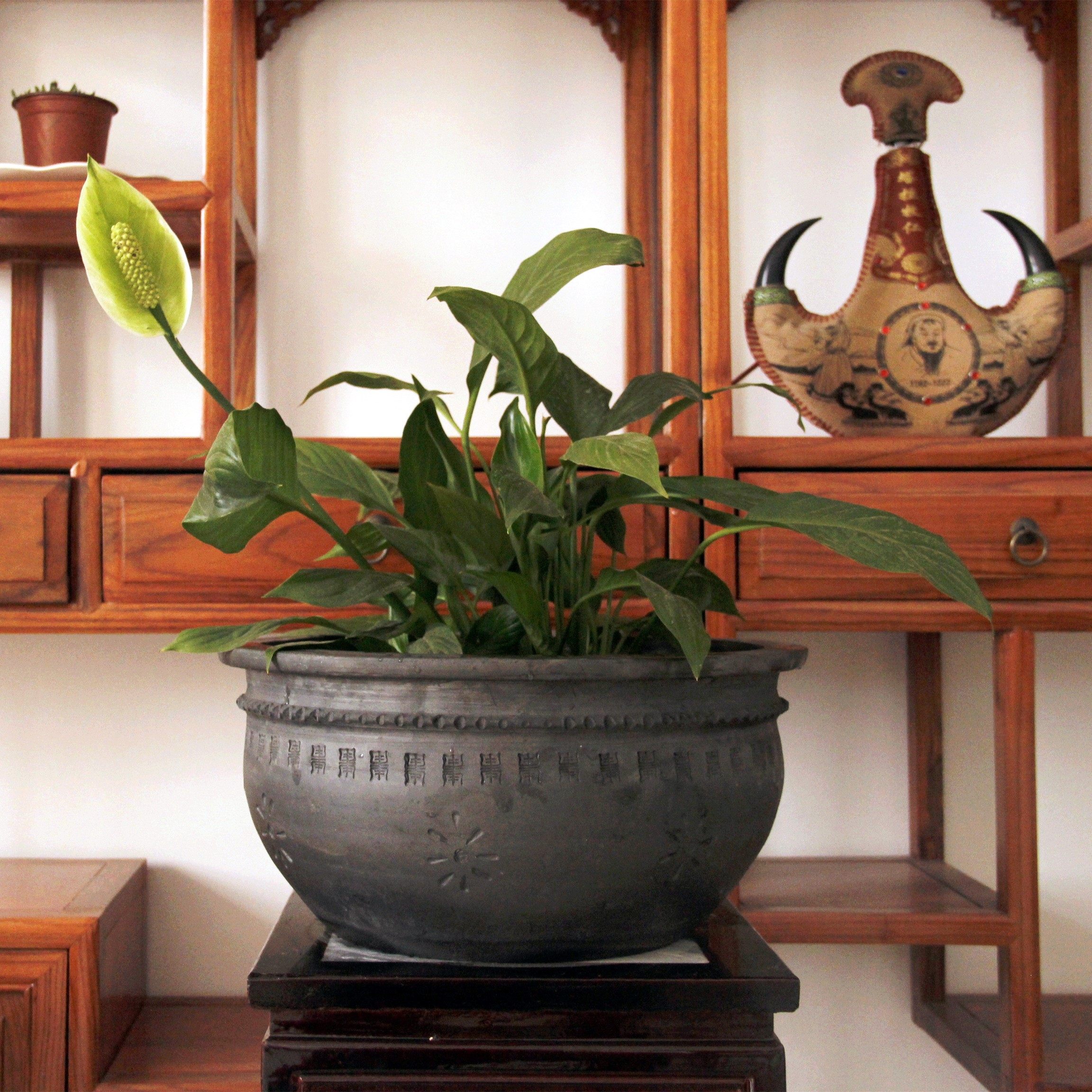 手工瓦缸金鱼缸碗莲盆陶瓷乌龟缸养鱼盆水培盆澄浆泥瓦盆黑陶鱼缸