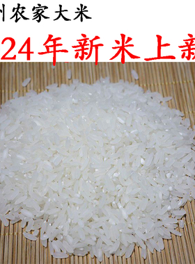 2024新米贵州农家原生态稻花鱼种植新鲜软糯大米5kg10斤晚稻米