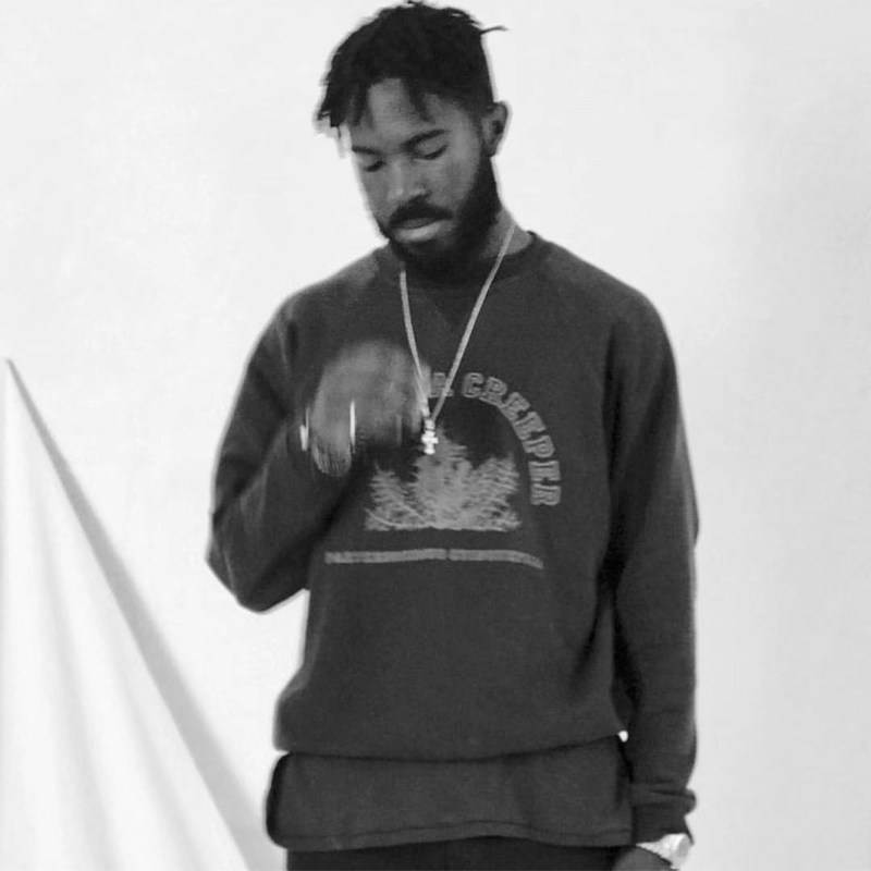thumbnail for RAF SIMONS VC 02AW PLANT CREWNECK ARCHIVE
