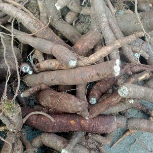 贵州深山隔山消非种植货隔山撬新鲜  牛皮消 白何首乌 飞来鹤500g