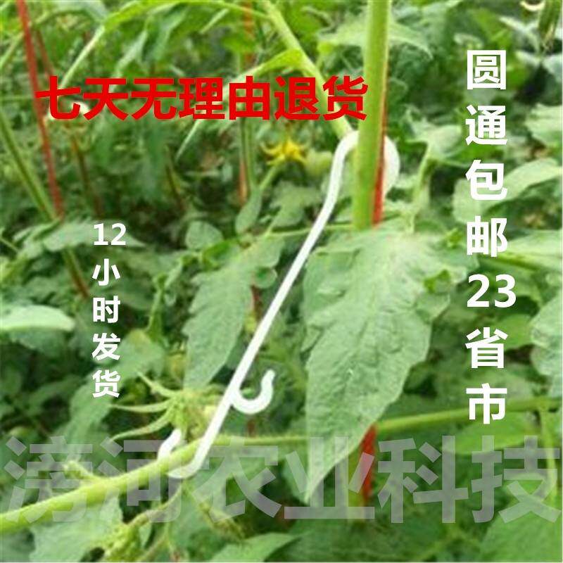 西红柿挂钩茄子柿子大棚吊钩双钩吊绳蔬菜新款番茄蕃茄挂果辣椒