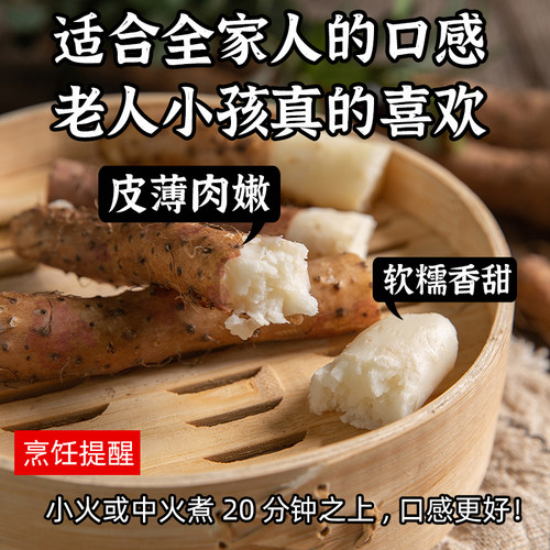 温县垆土地铁棍山药怀山药自有基地，源头合作社农户直发根根保真