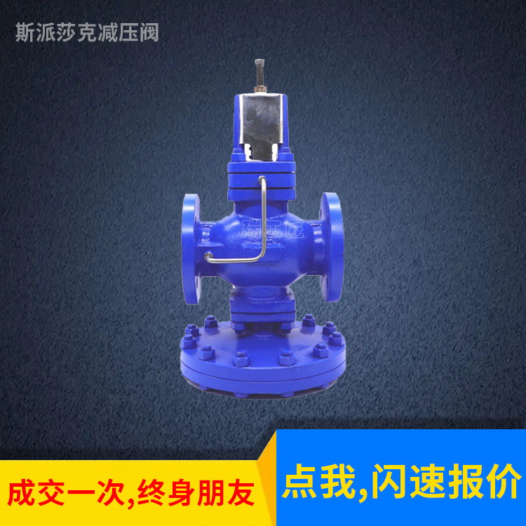 代替法兰斯派莎克先导式蒸汽