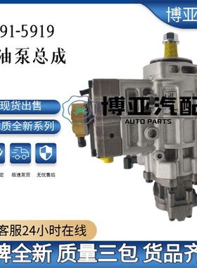 291-5919喷油泵总成10R-7660 2641A306跨境电商优质货源稳定耐用