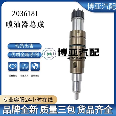 2036181 XPI 喷油器总成用CK系列卡车适用于DI13发动机高品质货源
