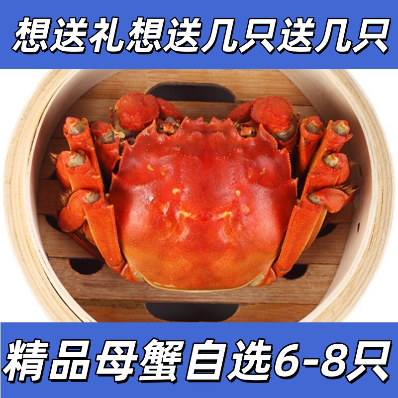 6-8只送礼聚会全母精品挑膏母蟹