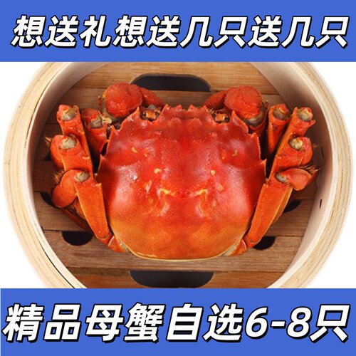 6-8只送礼聚会全母精品挑膏母蟹