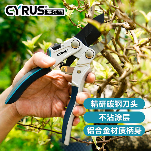 赛乐斯花剪园艺剪刀修枝剪树枝剪刀sk5家用插花修花手动花卉剪子