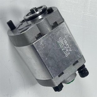 1.6 F2.1 汽车自卸车举升机齿轮油泵液压动力单元 配件齿轮泵CBK