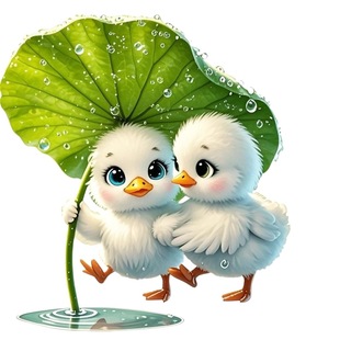 可爱治愈贴纸鸭子粘贴卧室客厅室内防水墙面贴画装 饰画墙上 饰装