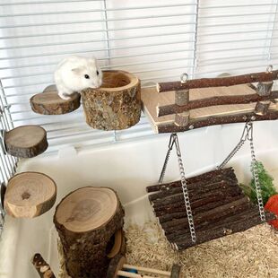 仓鼠造景阶梯宠物金丝熊仓鼠玩具 爬梯平台食碗躲避秋千吊床组合