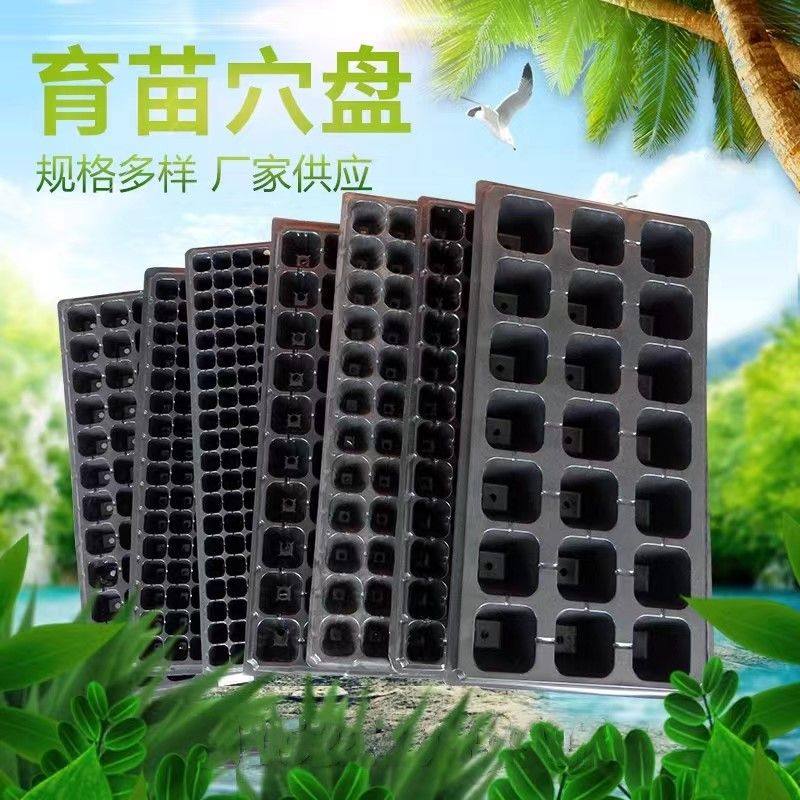 育苗穴盘玉米西瓜辣椒营