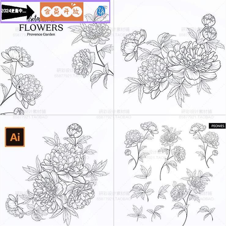 黑白手绘牡丹花卉线描花卉植物花朵线稿婚礼装饰画AI矢量素材素材图片