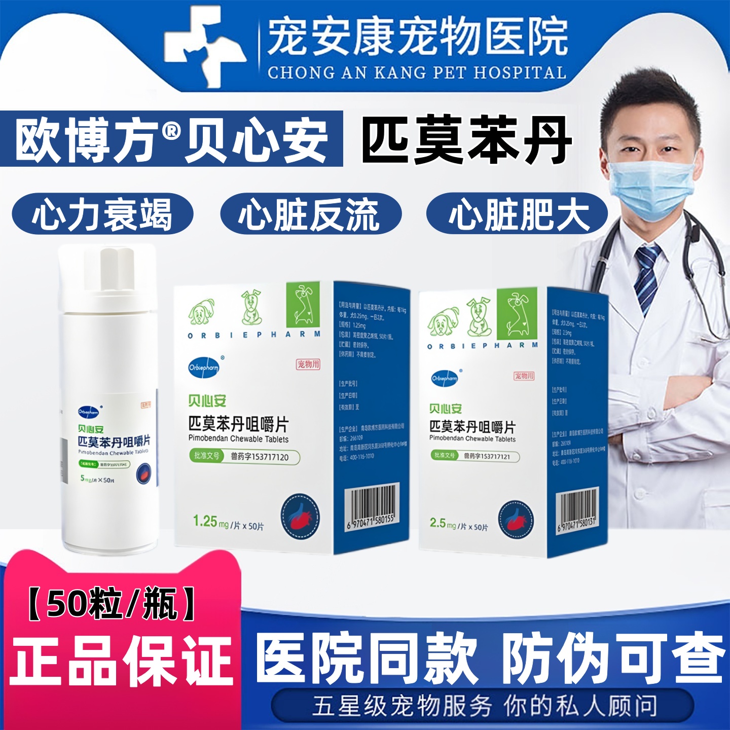 贝心安匹莫本犬猫心脏病心脏肥大