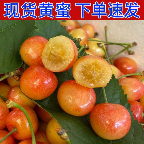 现货黄蜜下单顺丰速发