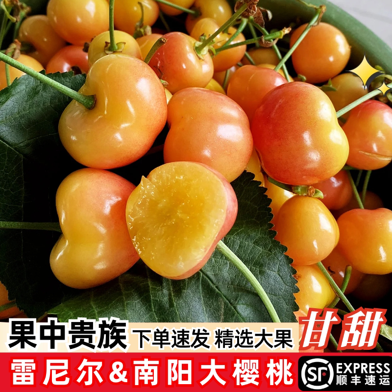 现货雷尼尔樱桃南阳黄金车厘子大连黄樱桃黄蜜新鲜孕妇水果顺丰