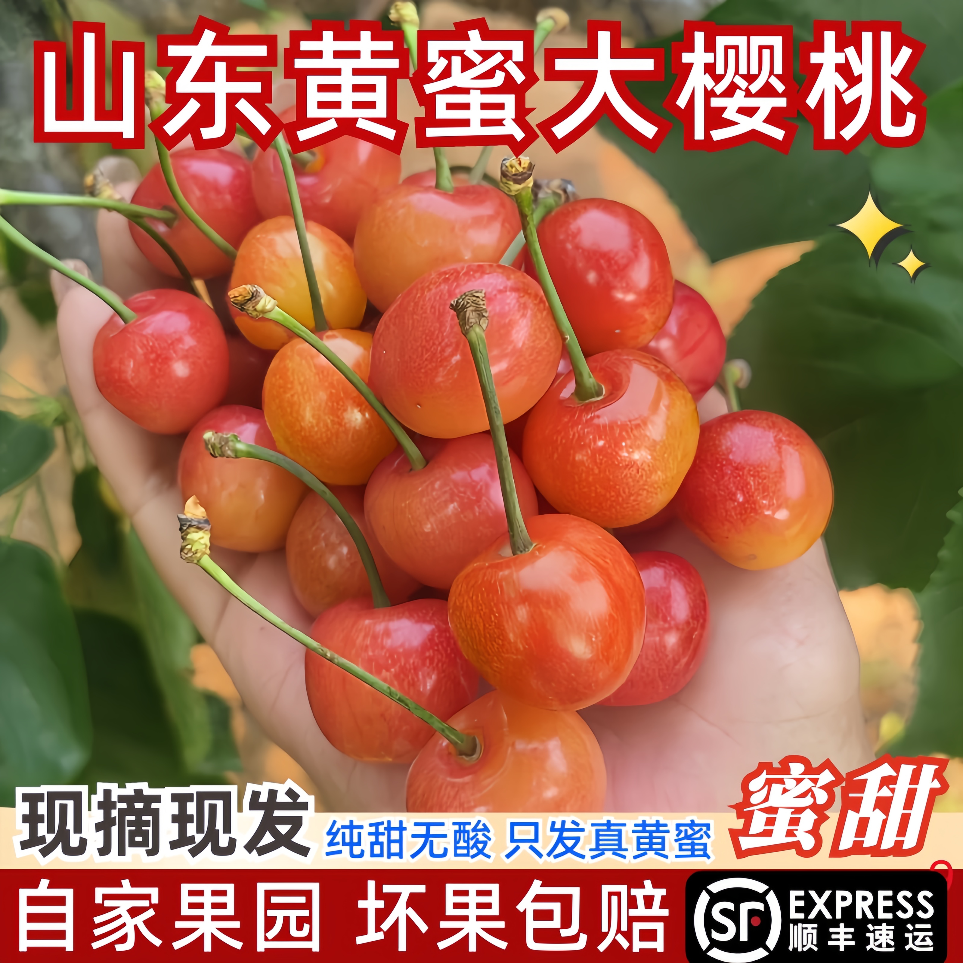 山东烟台黄蜜黄水晶樱桃雷尼尔车厘子新鲜水果孕妇水果顺丰