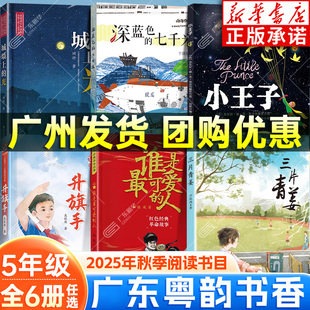 光升旗手 2025秋广东粤韵书香五年级阅读课外书 七千米城墙上 人深蓝色 小学5年级课外阅读 小王子三片青姜谁是最可爱