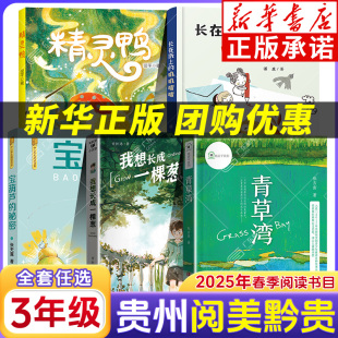 长在纸上 秘密彩图典藏版 叽叽喳喳精灵鸭 我想长成一棵葱青草湾宝葫芦 2025贵州阅美黔贵三年级课外书阅读