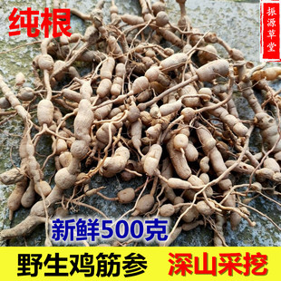 福建野生鸡筋参1斤包邮 中药材生货黄鸡胖黄鸡郎黄脚鸡长叶数珠根