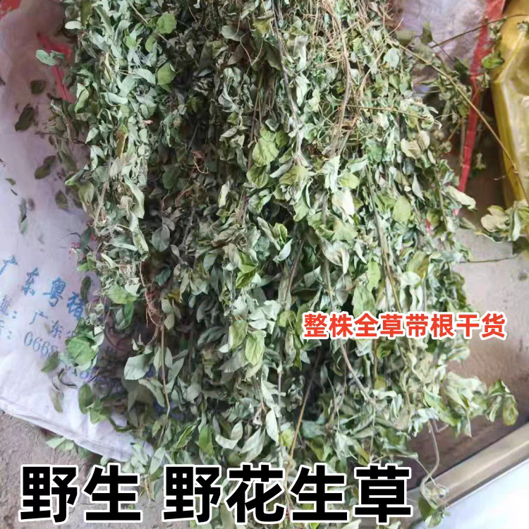 野生野花生草药 假地豆 狗尾花 大青叶异果山绿豆 假花生整颗干货