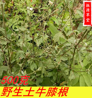 福建中草药材土牛膝500g包邮 野生干货杜牛膝中药材土牛七鸡骨癀