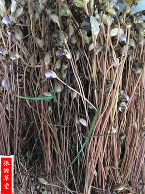 野生青草药野菰整颗全草蔗寄生 蛇箭草 白茅花250g包邮