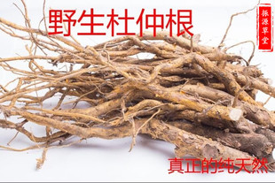 福建尤溪野生杜仲根草根汤料熬肉炖汤 干货天然土杜仲切片杜仲茶