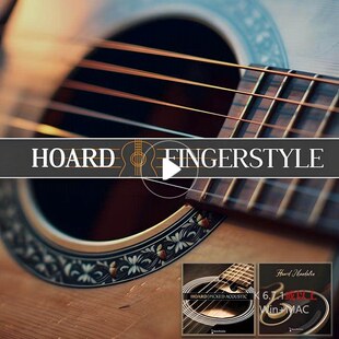 无缝连奏solo吉他3套Hoard bundle音源7g 拨片/指弹/曼陀林