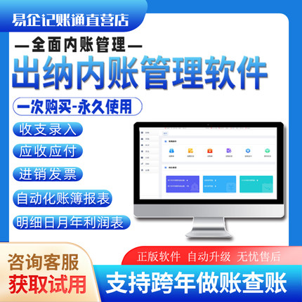 出纳日记账软件内账管理系统自动核算做账明细收支发票往来管理