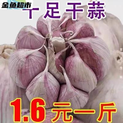 2022年新鲜10斤干大蒜头新干蒜5斤装红香蒜大祘紫皮整箱助农包邮