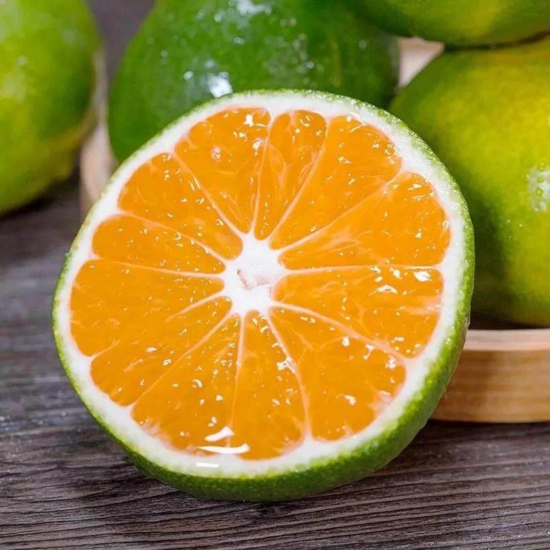 正宗现摘宜昌蜜桔10斤新鲜水果当季大果薄皮无籽橘子蜜橘冰糖整箱