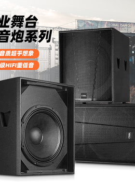 酒吧超重低音炮15寸 18寸 KTV包房包厢派对房打碟超低频低