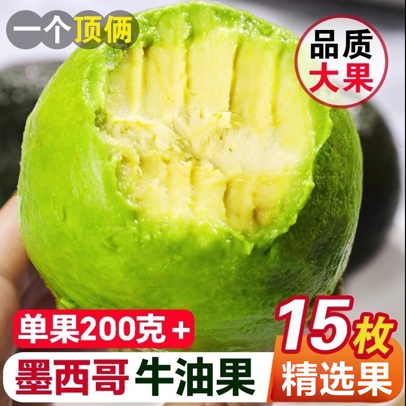 墨西哥进口牛油果新鲜水果即食牛油果泥孕妇辅食一级鳄梨